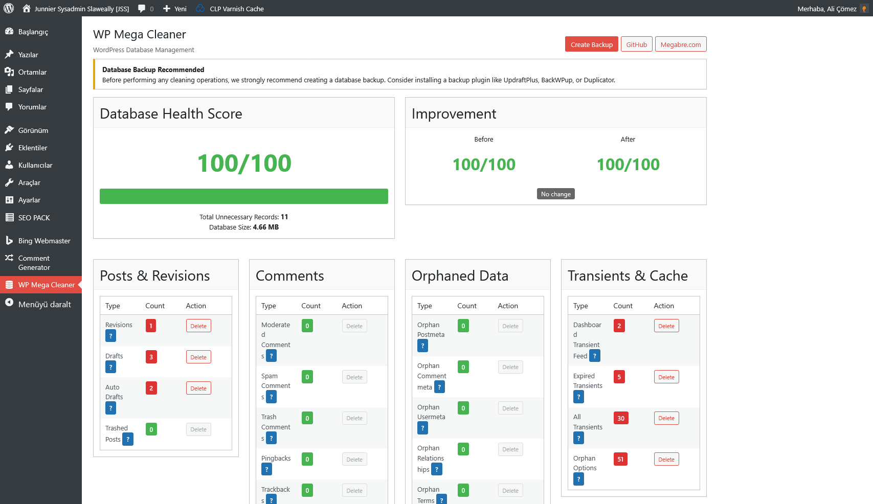 WP Mega Cleaner - Ekran Görüntüsü 1