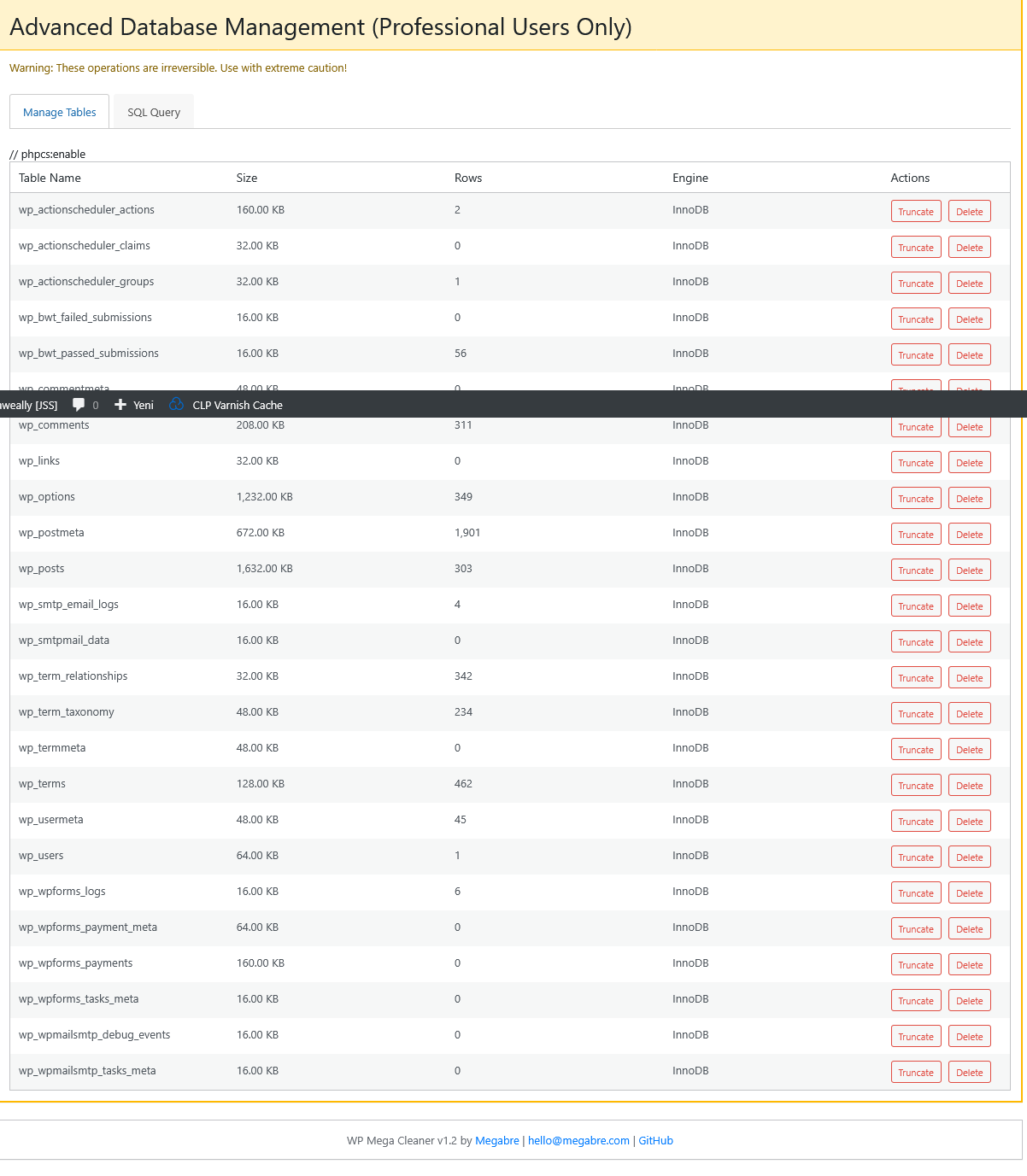 WP Mega Cleaner - Ekran Görüntüsü 2